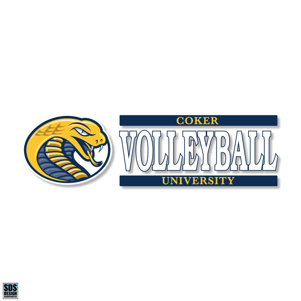 Volleyball Decal