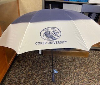 Deluxe Auto-Open Umbrella (Navy/white)