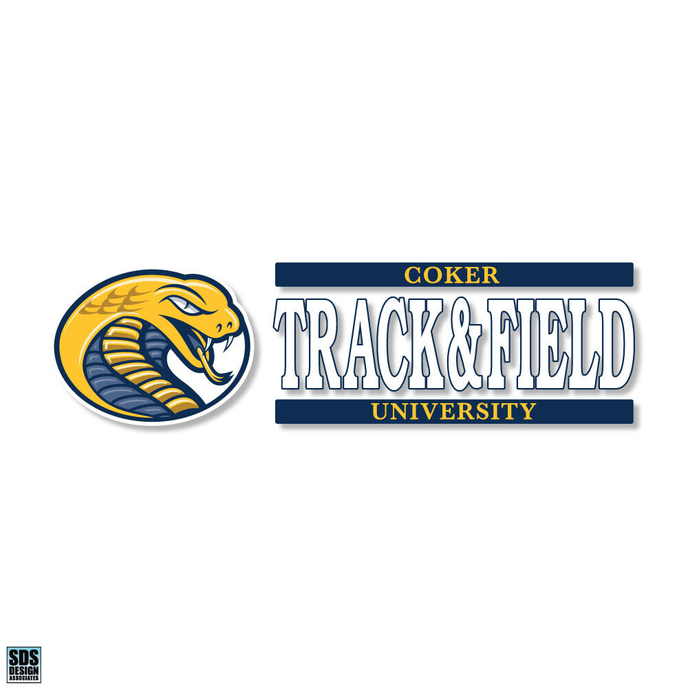 Track &amp; Field Decal