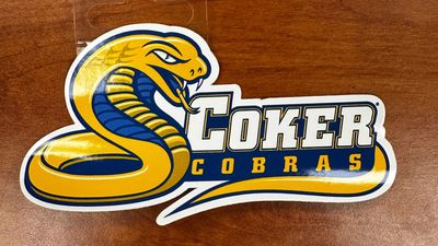 coiled cobra sticker - large