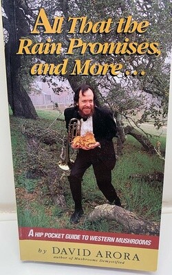 All That the Rain Promises and More....