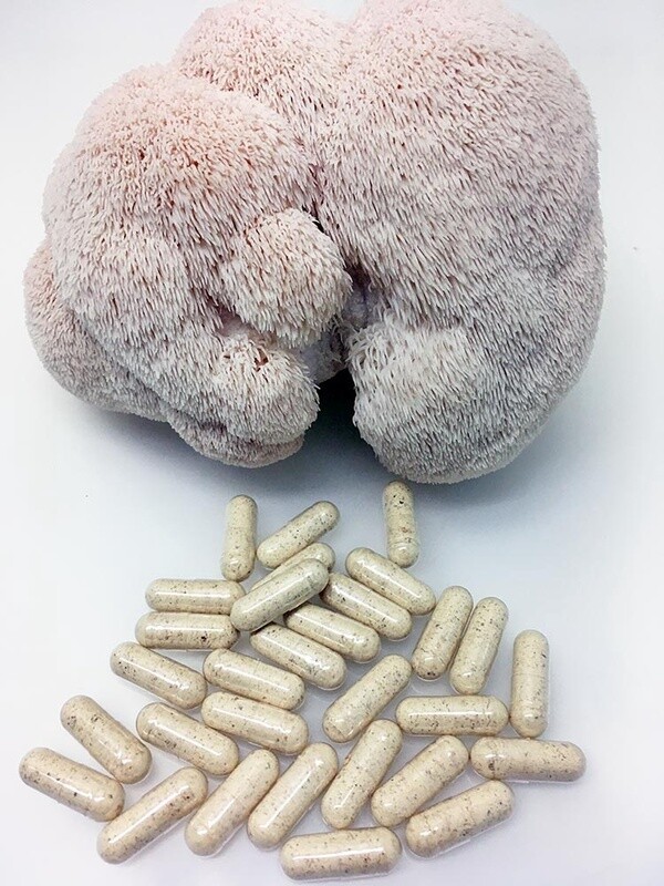 Lions Mane capsules x 30 - hericium erinaceus