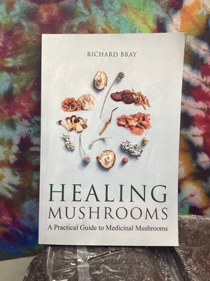 Healing Mushrooms A Practical Guide to Medicinal Mushrooms