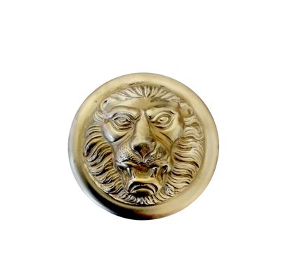 Embrasse  con rosone leone 75x130mm  (art-800/1)
