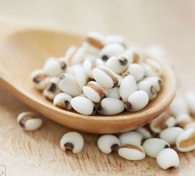 Naturie Coix Seed Essence Toner
