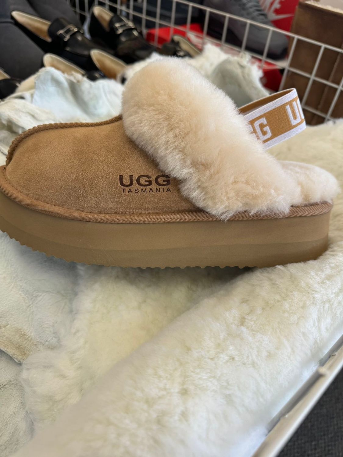 Lizzy Scuff Slippers Ugg Australia Lizzy Slipper UGG Eds Scuff