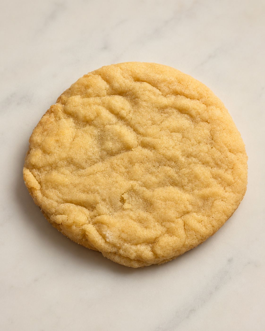 Swamp Sugar Cookie