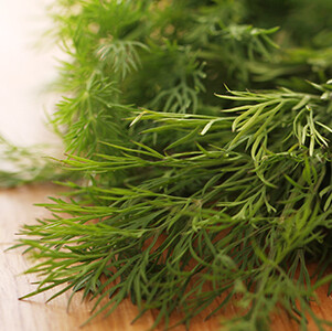 Dill Weed Essential Oil, Organic #1711005