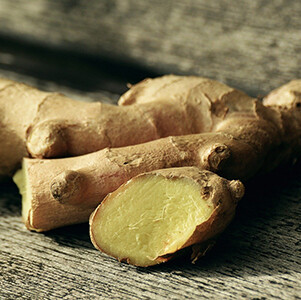 Ginger Essential Oil - Zingiber official - #50012B15