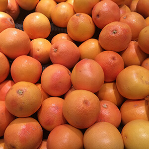 Grapefruit - Pink Essential Oil - 50070A00119 Citrus paradisii