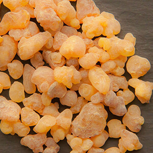 Frankincense Organic Essential Oil - #140854- Boswellia carterii