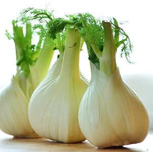 Fennel, Sweet Essential Oil Organic - #50063A01