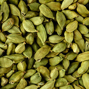 Cardamom Organic Essential Oil - Organic - #50003A10519