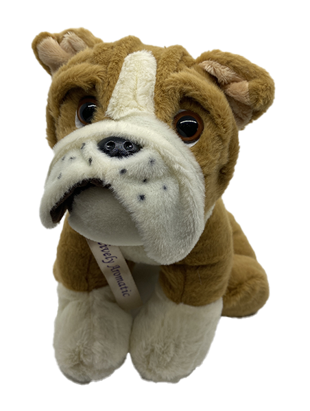 Lavender Lovie - Bull Dog