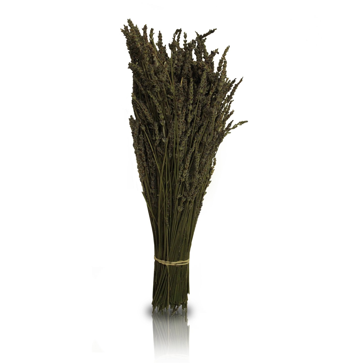 Lavender Bundles - Dried
