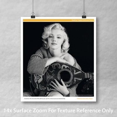 Exhibition Cotton Gloss 335