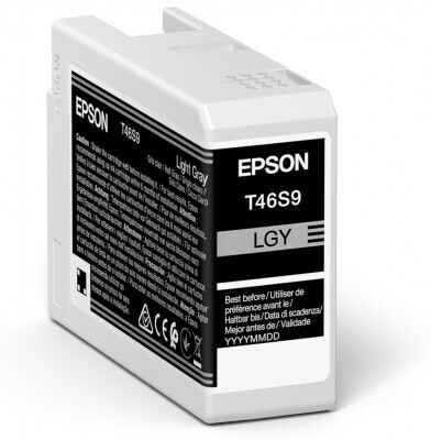 EPSON Tinte light grau 25ml (T46S9)