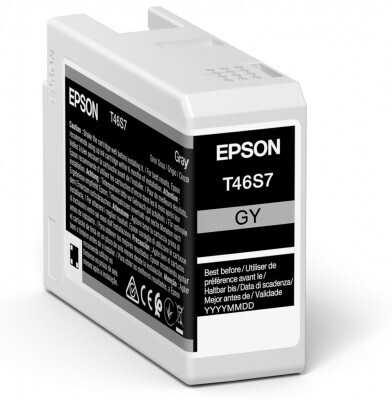 EPSON Tinte grau 25ml (T46S7)