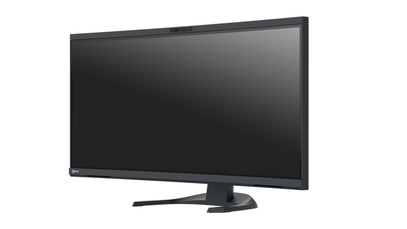 EIZO Curved FlexScan Monitor 2 in 1