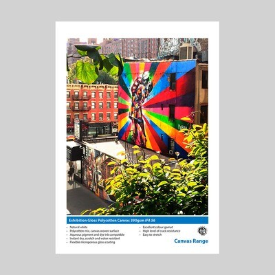 Exhibition Gloss PolyCotton Canvas 390