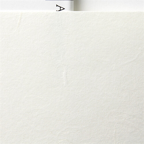 Awagami AIP Premio Unryu White 165 g