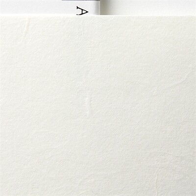 Awagami AIP Premio Unryu White 165 g