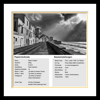 ​FA365 Photo Pearl Premium 310