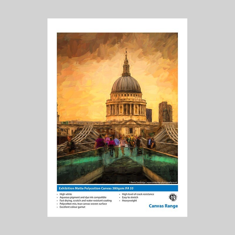 Pro Art Gallery Wrap Canvas 380