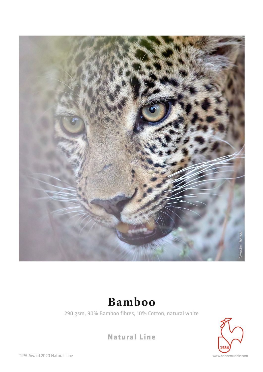 Hahnemühle Bamboo 290