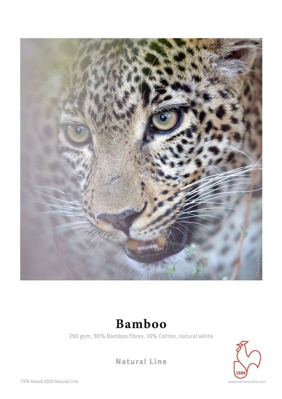 Hahnemühle Bamboo 290