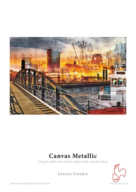 Hahnemühle Canvas Metallic 350