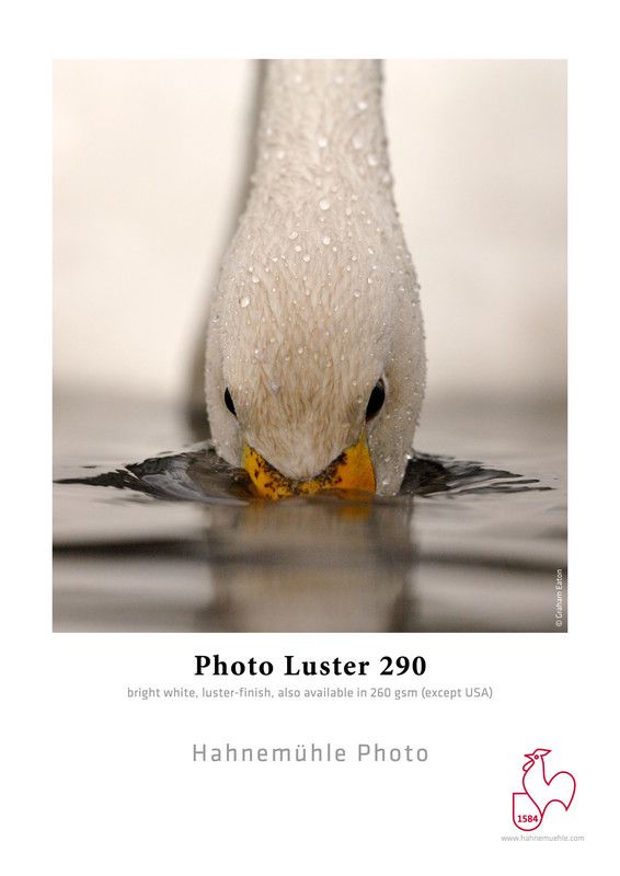 Hahnemühle Photo Luster 290