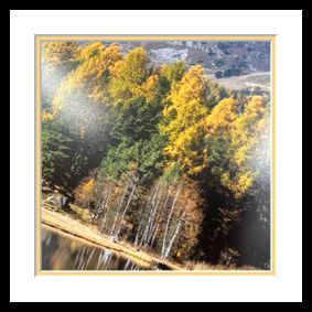 Poster Print Fotopapier Matt, Semimatte, Glanz,