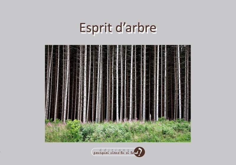 Album photos ESPRIT D&#39;ARBRE
