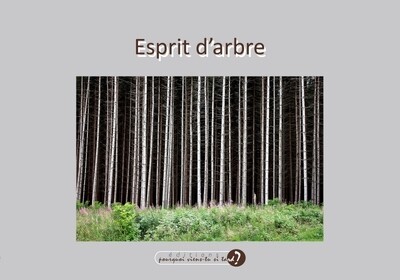 Album photos ESPRIT D'ARBRE