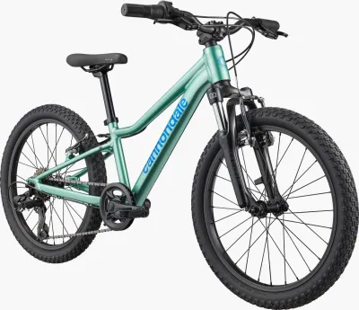 Cannondale Kid's Trail 20 Mountain Bike - Cactus Green