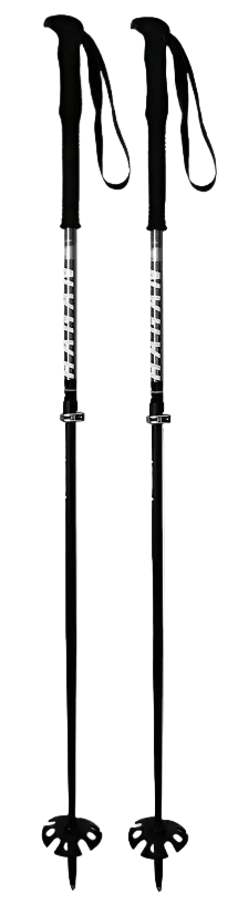Hagan Ski Touring Pole