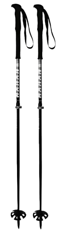 Hagan Ski Touring Pole