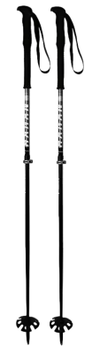 Hagan Ski Touring Pole