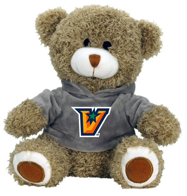 UTRGV Teddy Bear w/ Hoodie