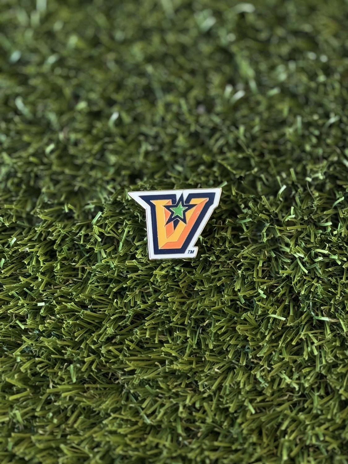 Full color &quot;V&quot; Lapel Collector Pin