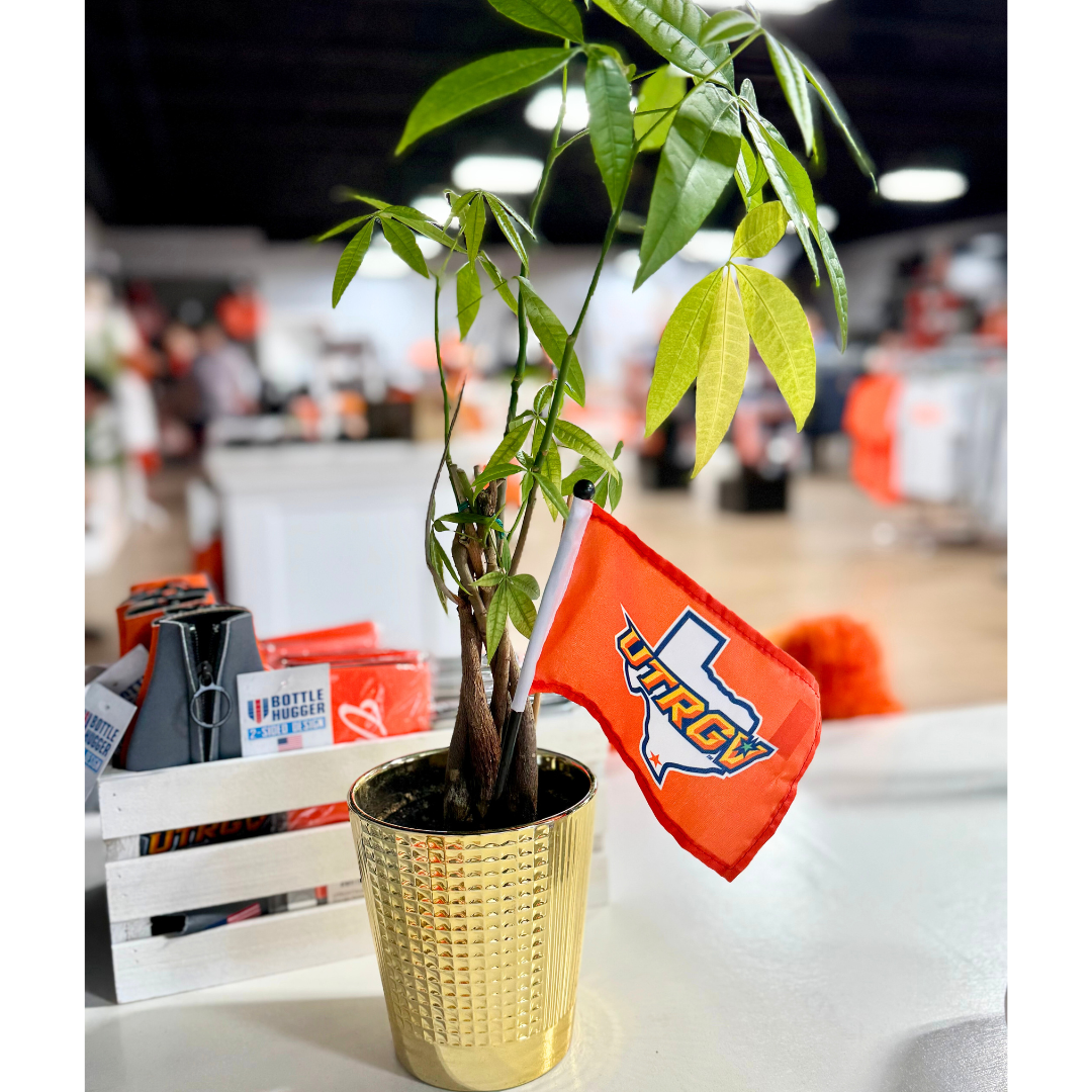 4&quot;X6&quot; Small Stick Flag
