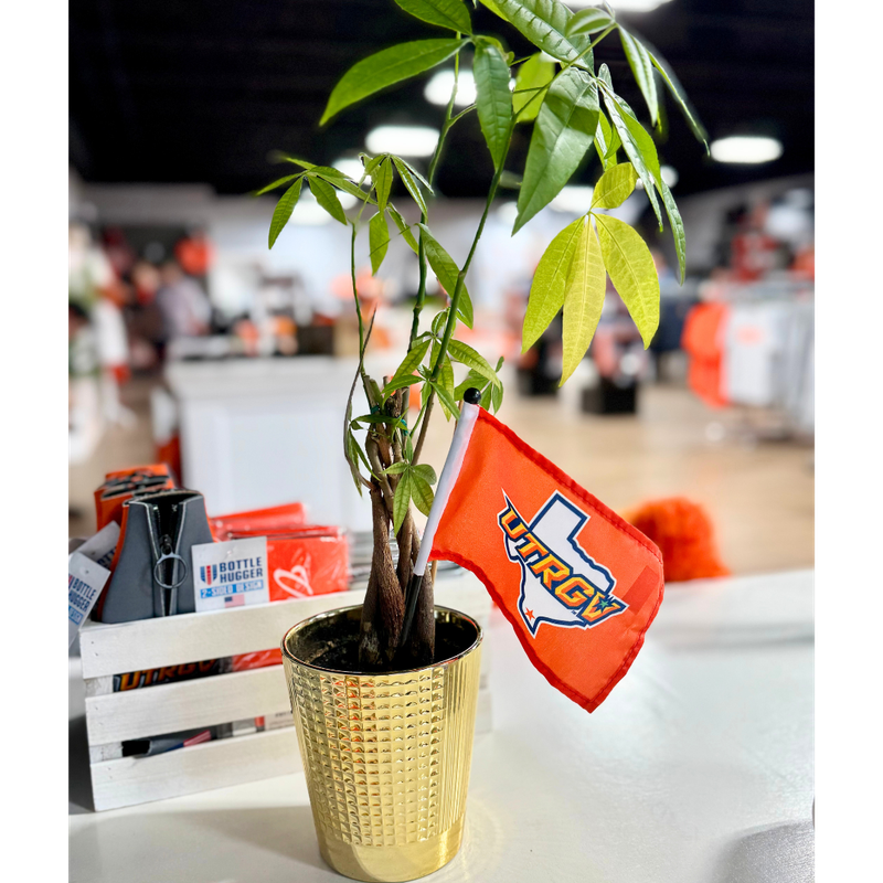 4&quot;X6&quot; Small Stick Flag