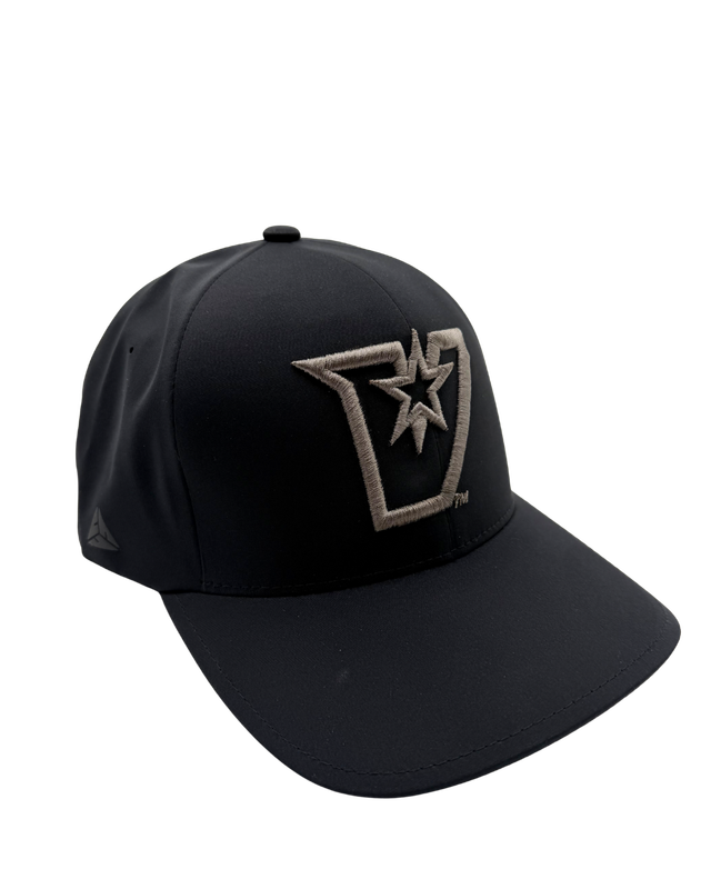 Grey V FlexFit Cap - Black