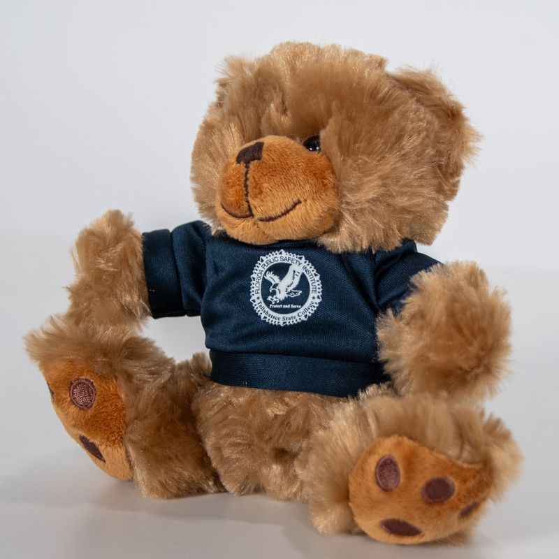 Teddy Bear