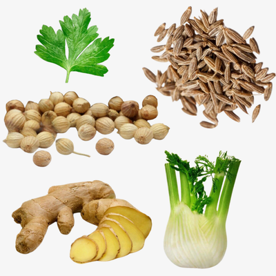 3 Samen Tee + Ingwer (Mischung mit Koriander, Fenchel, Kreuzkümmel, Ingwer)