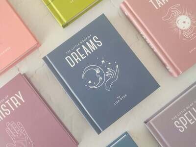 A Little Book of Dreams by Lisa Dyer