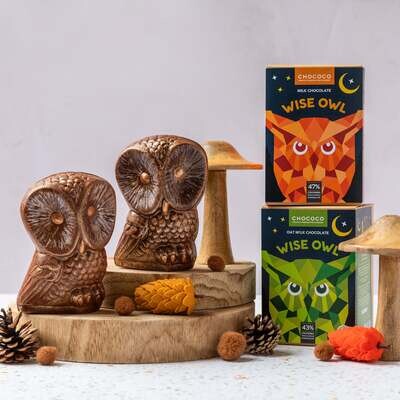 Chococo Wise Owl - Milk Chocolate