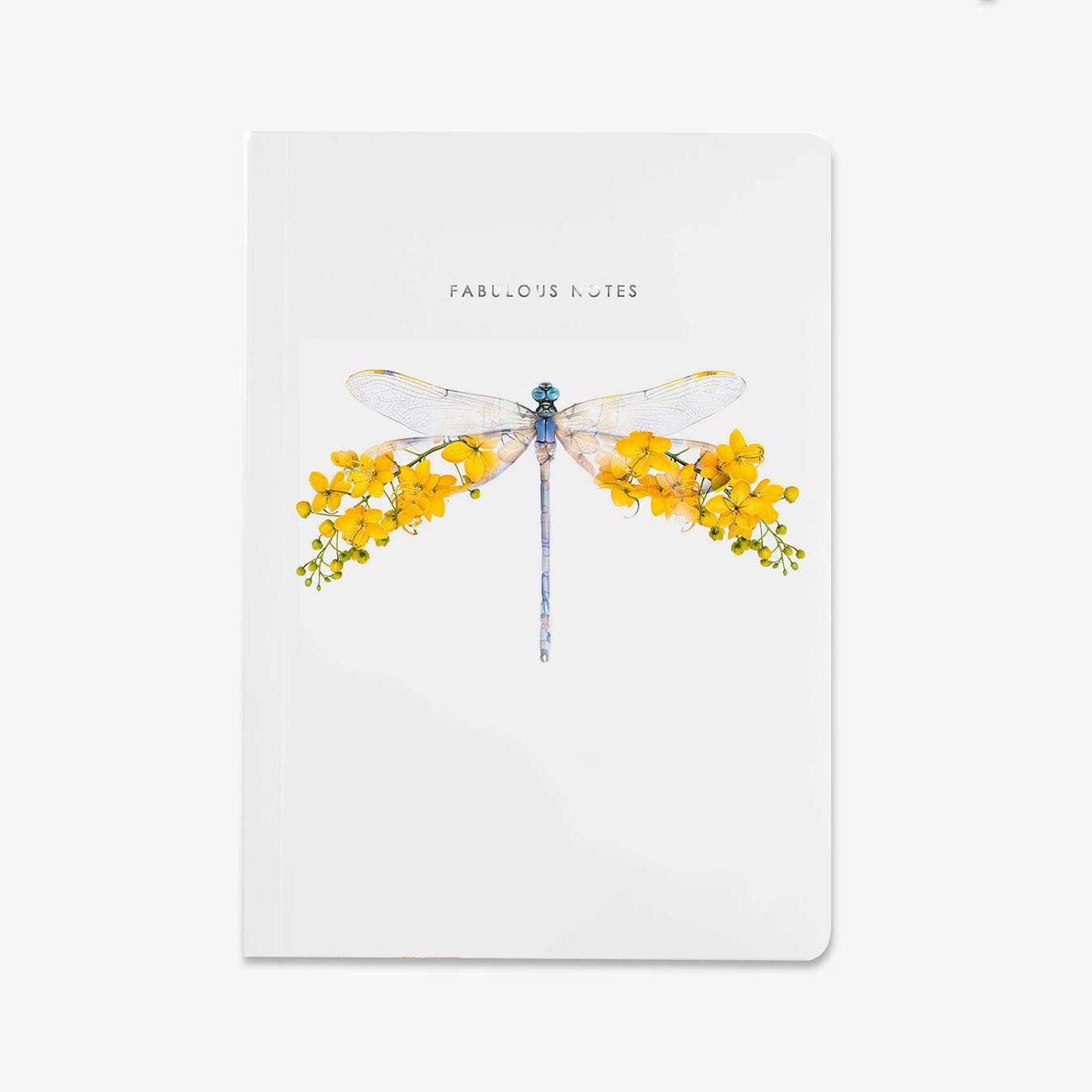 Notebooks - Dragonfly