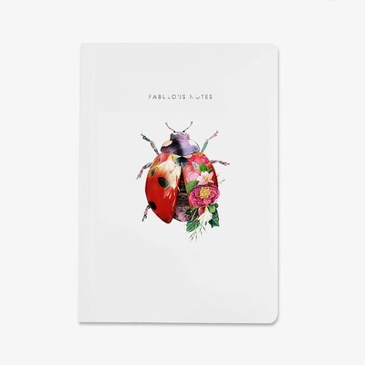 Notebooks - Ladybird